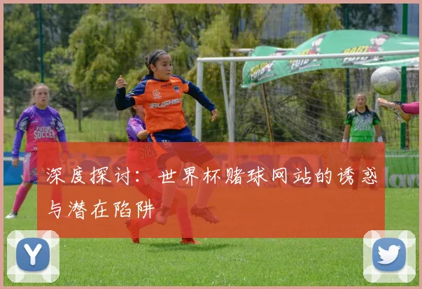 深度探讨：世界杯赌球网站的诱惑与潜在陷阱
