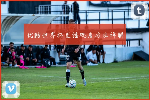 优酷世界杯直播观看方法详解