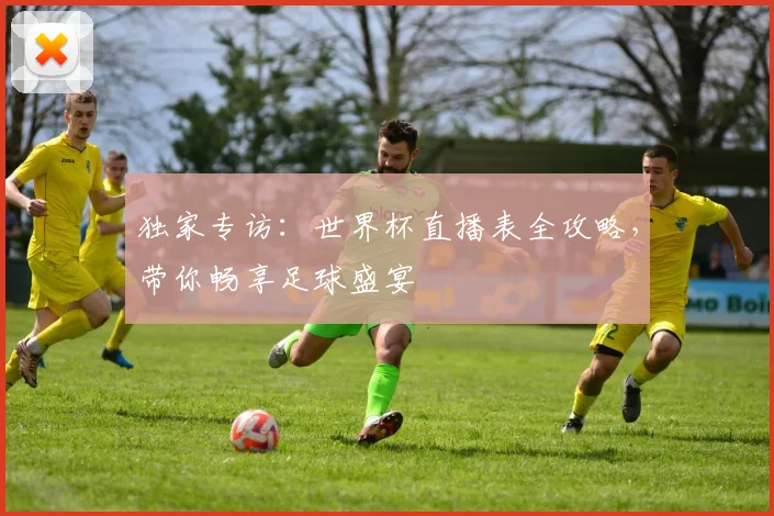 独家专访：世界杯直播表全攻略，带你畅享足球盛宴
