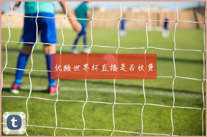 优酷世界杯直播是否收费