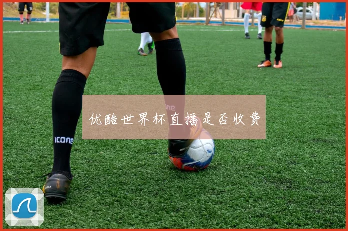 优酷世界杯直播是否收费
